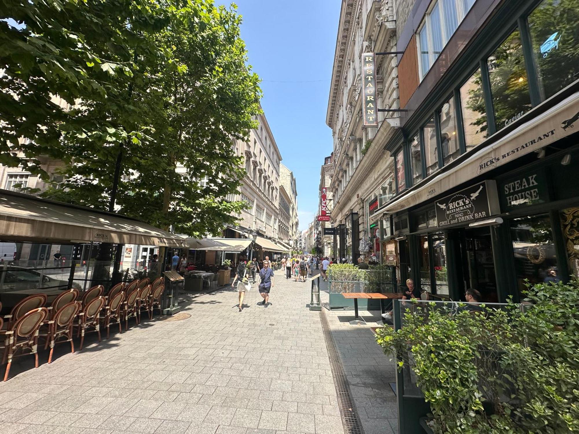 Bright Apartment In The Most Beautiful Street Of Budapest Vaci Street, Fashion Street 布达佩斯 外观 照片